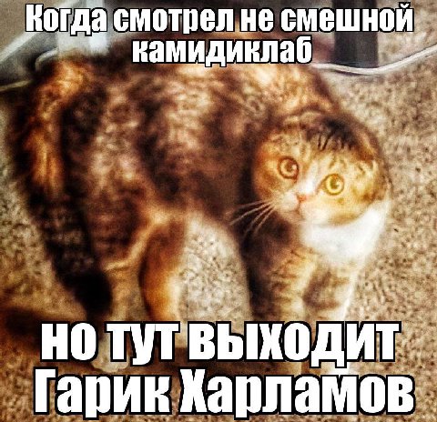 Когда смотрел HE смешной у “К, Гарик Харламов