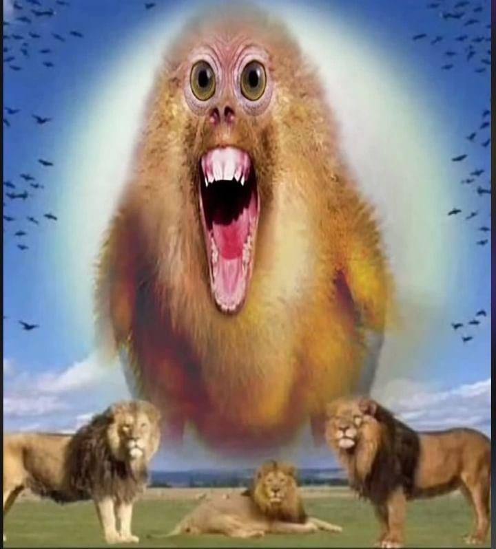 4 4 7 4
