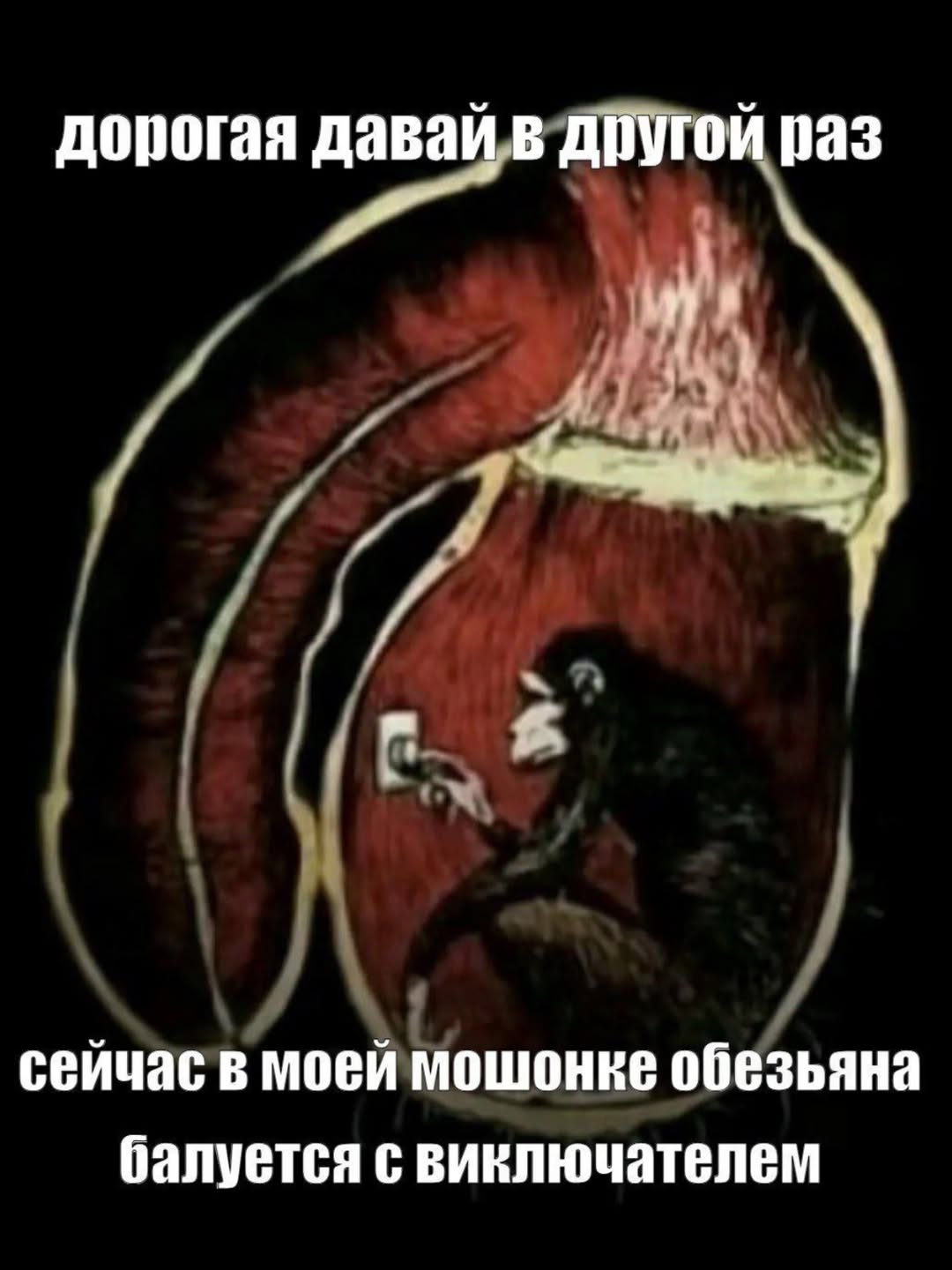 дорогая давай в другой раз сейчас в моей мошонке обезьяна балуется с виключателем