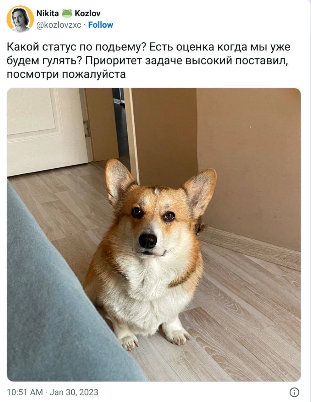 Nikita 28 Kozlov @kozlovzxc Follow Какой статус по подьему? Есть оценка когда мы уже будем гулять? Приоритет задаче высокий поставил, посмотри пожалуйста Я a? 4 А 4%; 10:51 Jan 30, 2023 6)