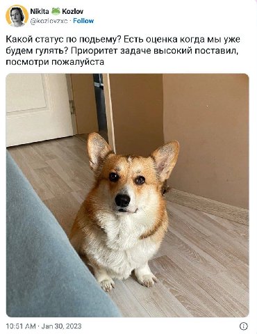 Nikita 28 Kozlov @kozlovzxc Follow Какой статус по подьему? Есть оценка когда мы уже будем гулять? Приоритет задаче высокий поставил, посмотри пожалуйста Я a? 4 А 4%; 10:51 Jan 30, 2023 6)