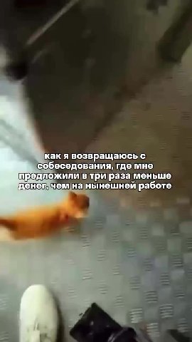 какявозвращаюсьс собеседования гдемне предложиливтриразаменьше нат оно работе как я возвращаюсь Cc предложили в три раза меньше денег чем нанынешней. работе _ предложиливири юменьше] $ еааеращаюсьс_ о