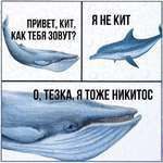 ПРИВЕТ, КИТ, KAK ТЕБЯ ЗОВУТ? 77