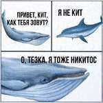 ПРИВЕТ, КИТ, KAK ТЕБЯ ЗОВУТ? 77