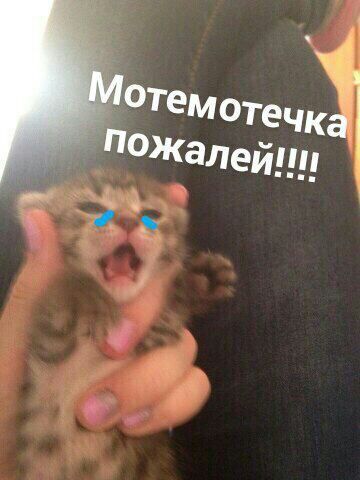 Пожалейни
