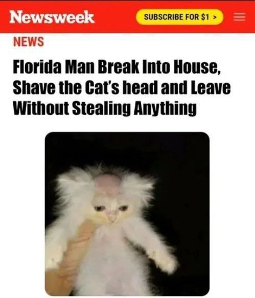 Newsweek МЕМ/$ Florida Man Break into House, Shave the Cat's head and Leave Without Stealing Anything