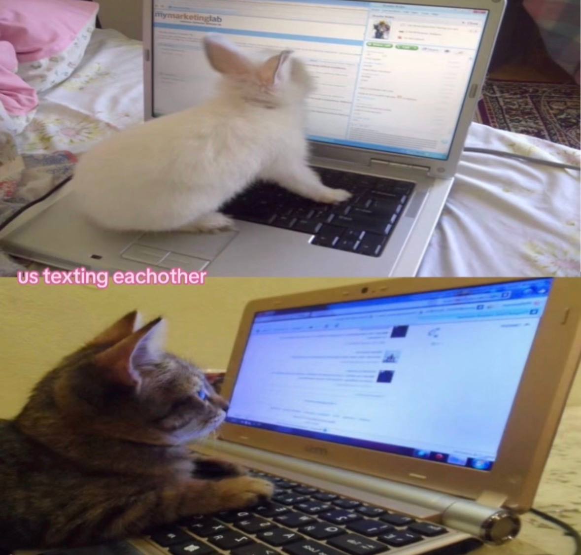 texting eachother