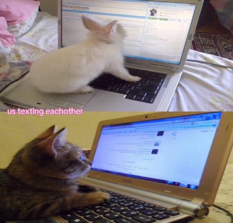 texting eachother
