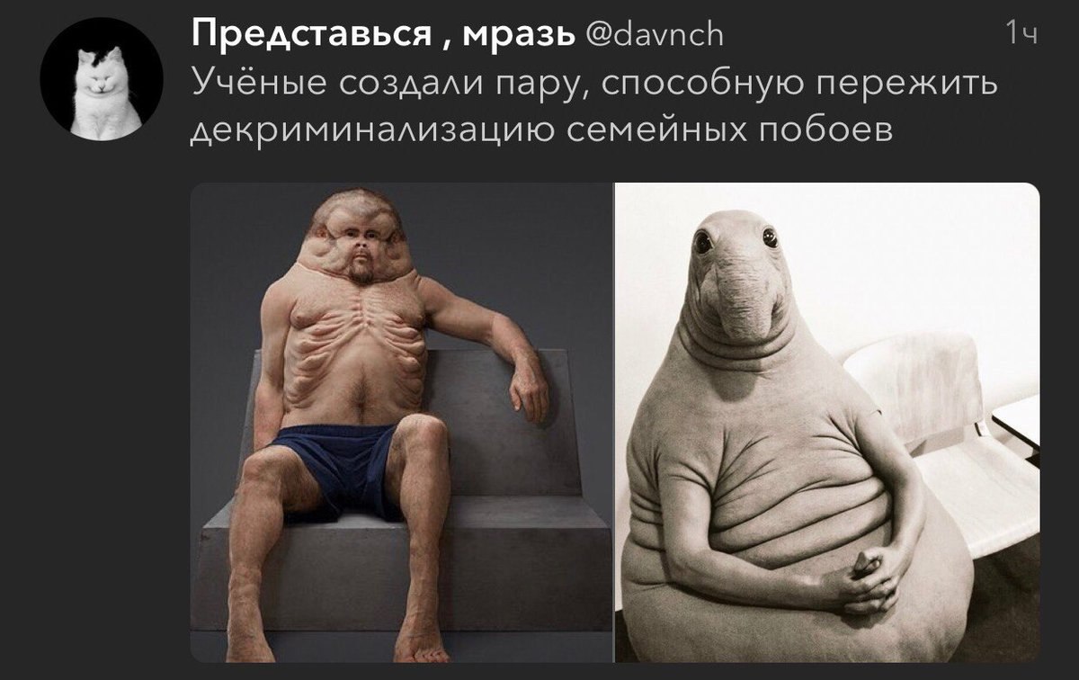 Представься мразь @davnch Ученые создали пару, способную пережить декриминализацию семейных побоев