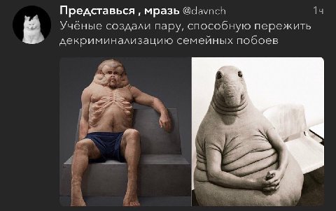 Представься мразь @davnch Ученые создали пару, способную пережить декриминализацию семейных побоев