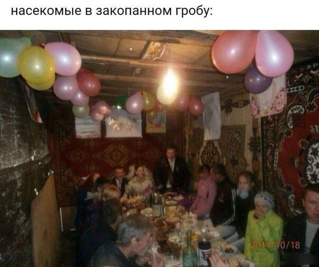 насекомые в закопанном гробу: