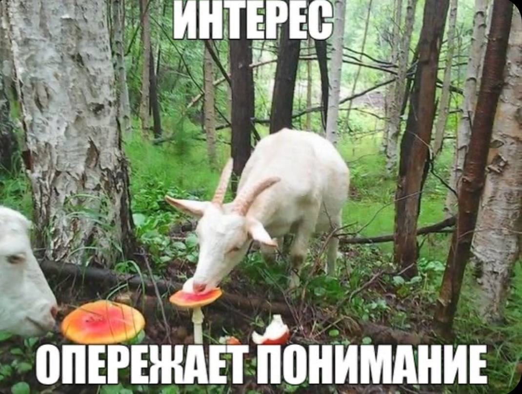 as eta ИНТЕРЕ a “a on EPE WET ПОНИМАНИЕ