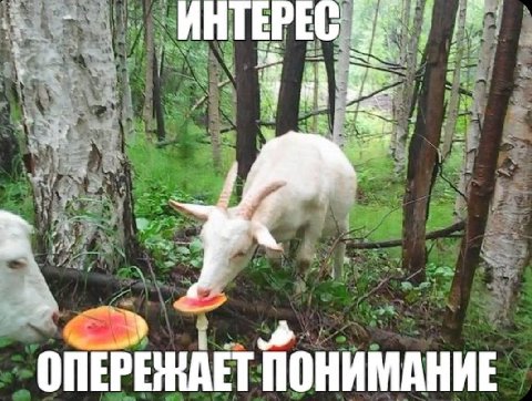 as eta ИНТЕРЕ a “a on EPE WET ПОНИМАНИЕ