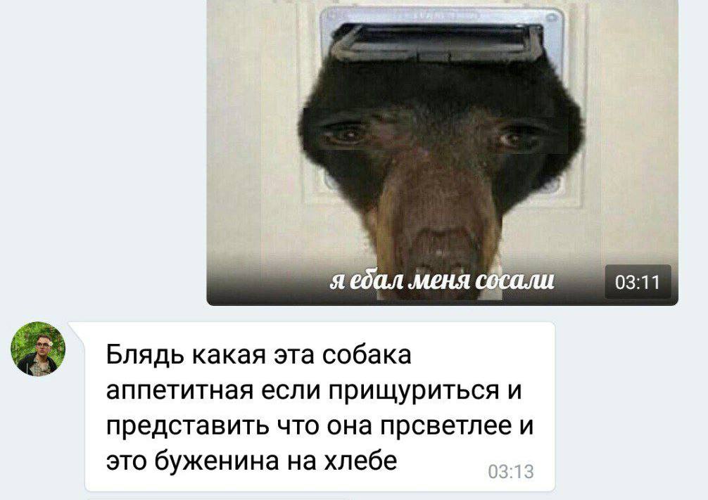 Я ебал меня COCO 03:11 Блядь какая эта собака аппетитная если прищуриться и представить что она прсветлее и это буженина на хлебе