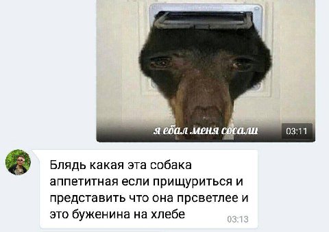 Я ебал меня COCO 03:11 Блядь какая эта собака аппетитная если прищуриться и представить что она прсветлее и это буженина на хлебе