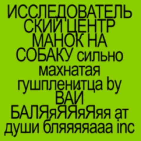 ИССЛЕДОВАТЕЛЬ ЦЕНТР СОБАКУ сильно махнатая гушпленитца БАЛЯ яяяя души яяяяааа INC