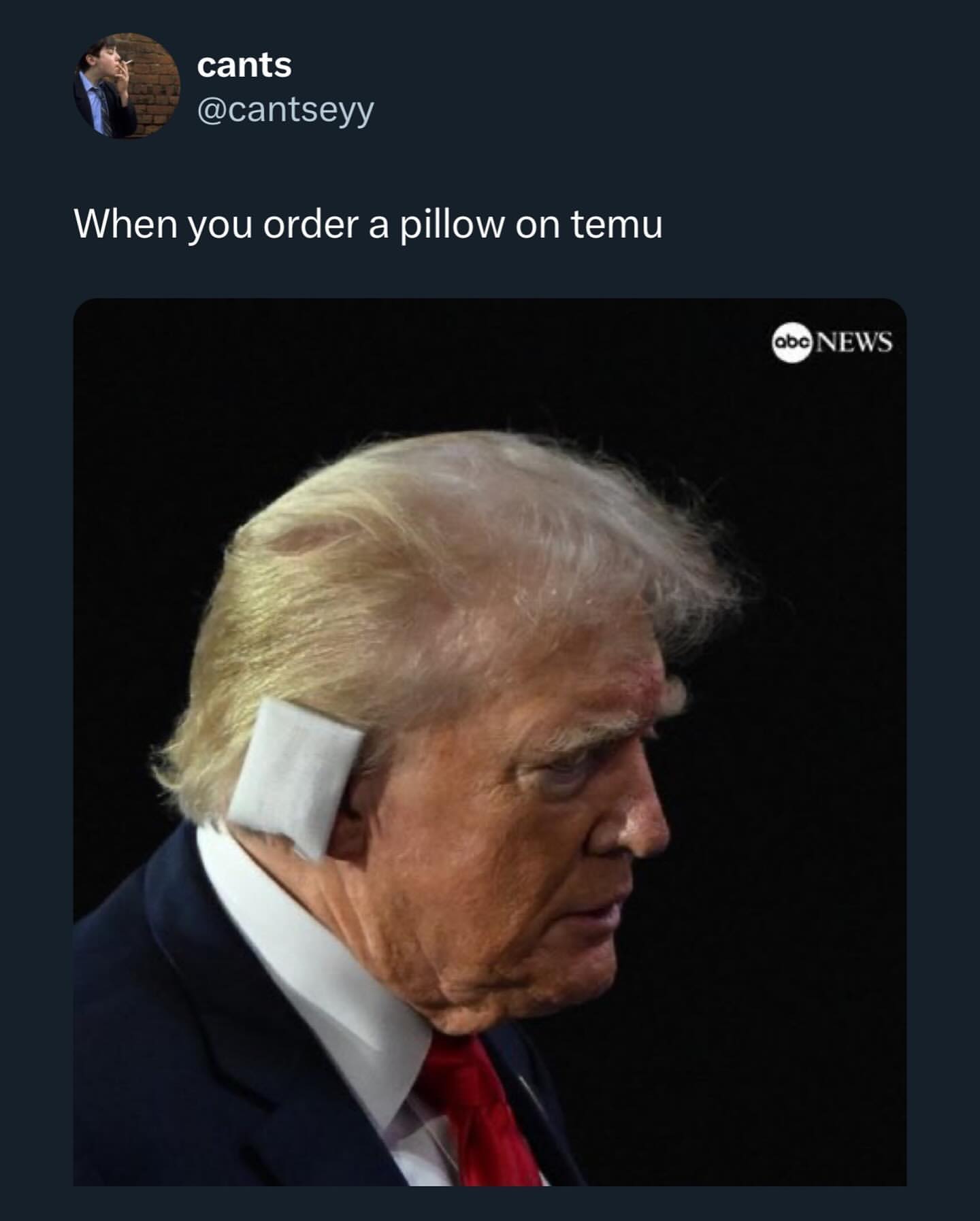 nts When you order a pillow on temu