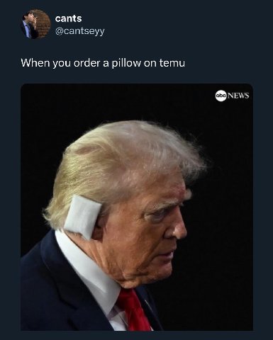 nts When you order a pillow on temu