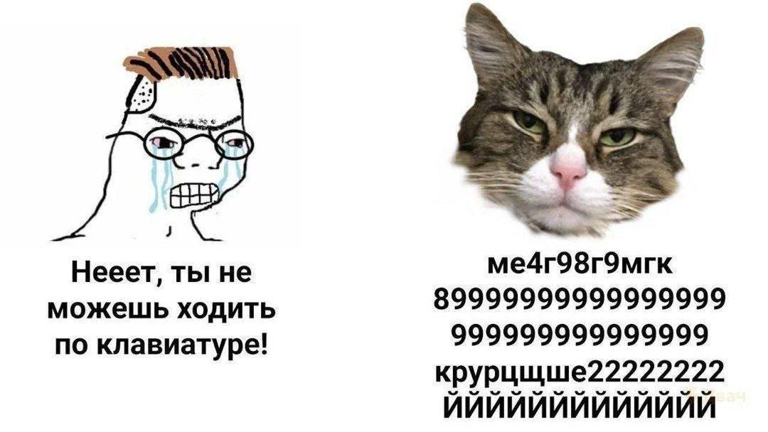 are Нееет, ты He ме4г98г9мгк можешь ходить 89999999999999999 по клавиатуре! 999999999999999 крурцщше22222222 ЙЙЙЙЙЙЙЙЙЙЙЙЙ