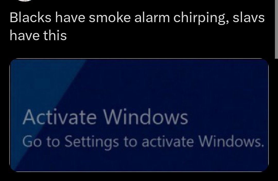 Blacks have smoke alarm chirping, slavs have this Activate Windows to Settings to activate Windows.