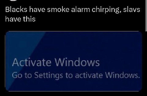 Blacks have smoke alarm chirping, slavs have this Activate Windows to Settings to activate Windows.