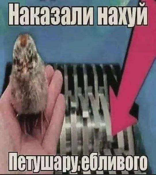 Наказали нахуй