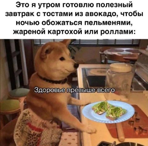 Это я утром готовлю полезный завтрак с тостами из авокадо, чтобы ночью обожаться пельменями, жареной картохой или роллами: Здоровье превыше всего