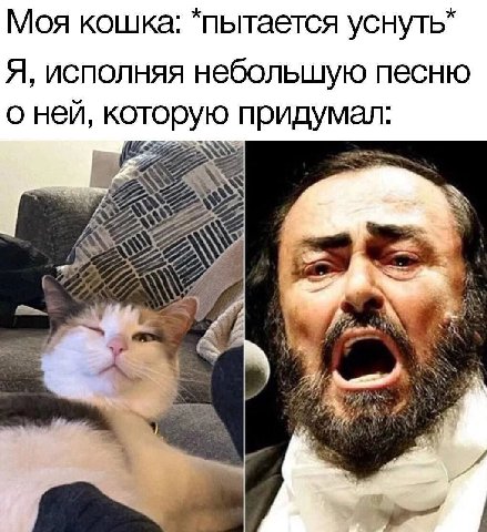 Моя кошка: *пытается Я, исполняя небольшую песню о ней, которую придумал: я A К