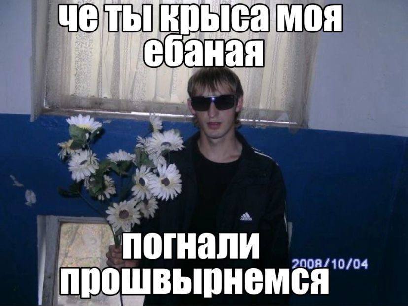 крысамоя 4% 4 погнали 2008/10/04 прошвырнемся