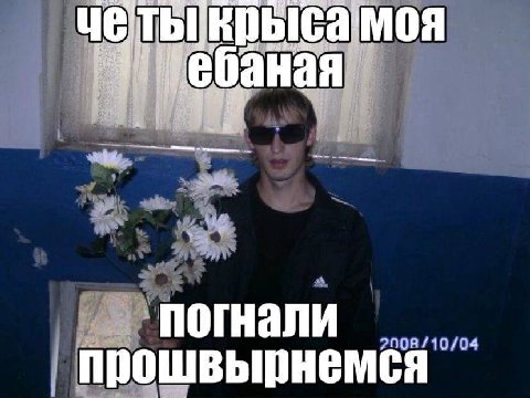 крысамоя 4% 4 погнали 2008/10/04 прошвырнемся