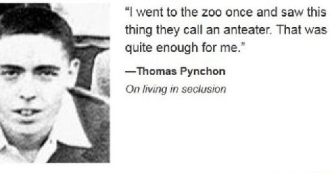 went to the Zoo once and saw this thing they call an anteater. That was quite enough for me.” —Thomas Pynchon On living in seclusion №7