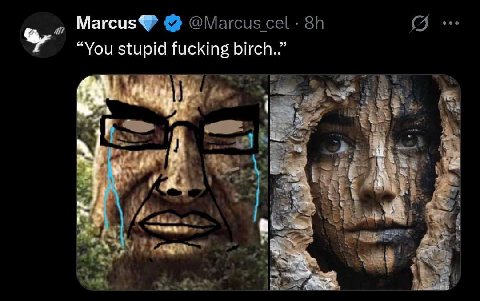 @Marcus cel 4 “You stupid fucking birch..”