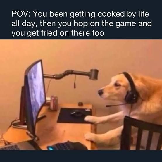 POV: You been getting cooked life all day, then you hop on the game and you get fried on there too