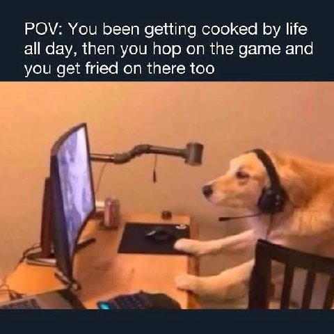 POV: You been getting cooked life all day, then you hop on the game and you get fried on there too