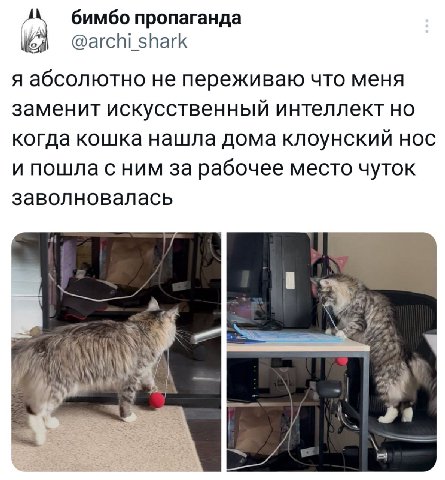 А бимбо пропаганда @archi shark я абсолютно не переживаю что меня заменит искусственныи интеллект но когда кошка нашла дома клоунскии нос и пошла с ним за рабочее место чуток заволновалась Val 1 a a