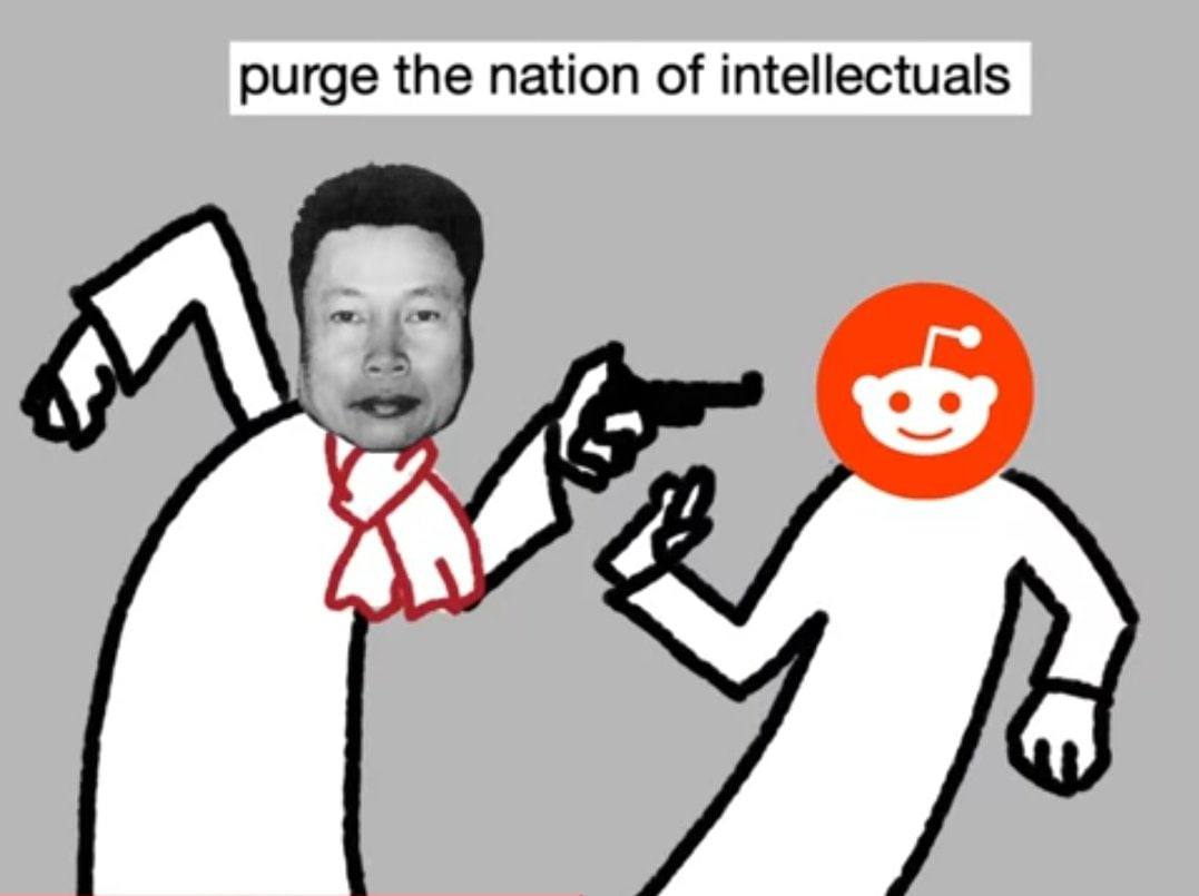 purge the nation of intellectuals
