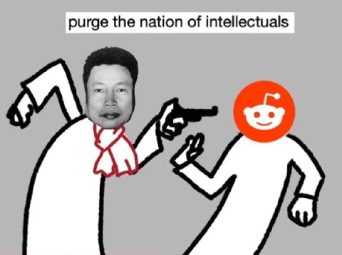 purge the nation of intellectuals
