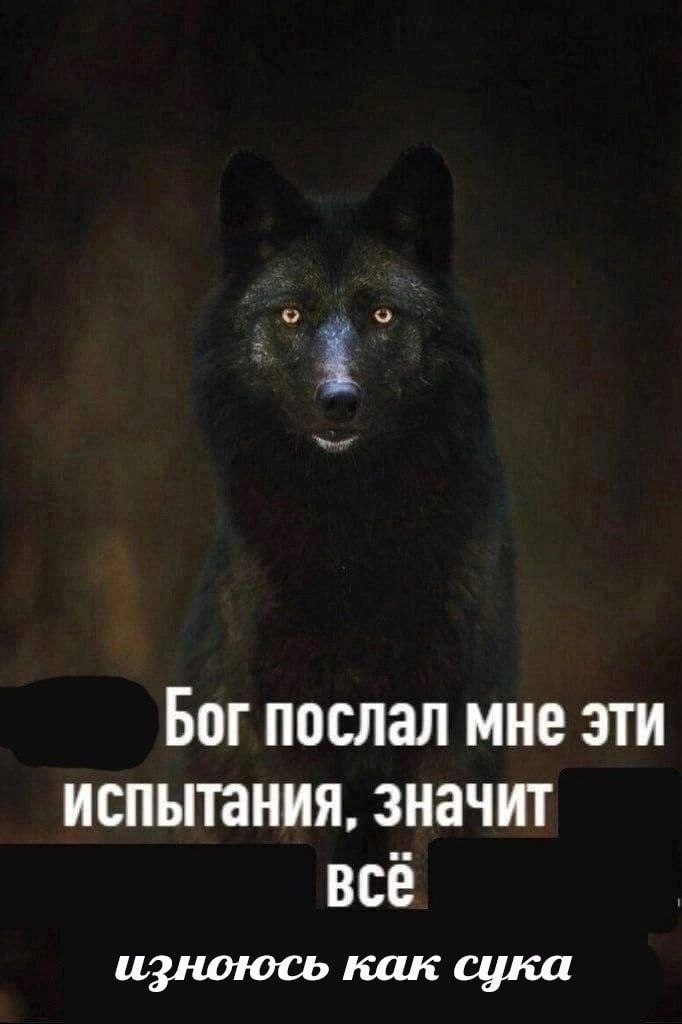 Бог послал мне эти испытания, значит всё изноюсь как сука