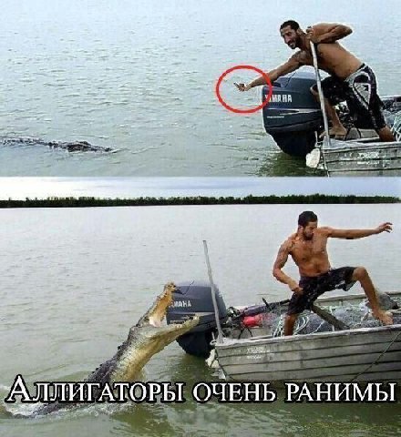 at 9. МАНА OPE OQUEHb РАНИМЫ