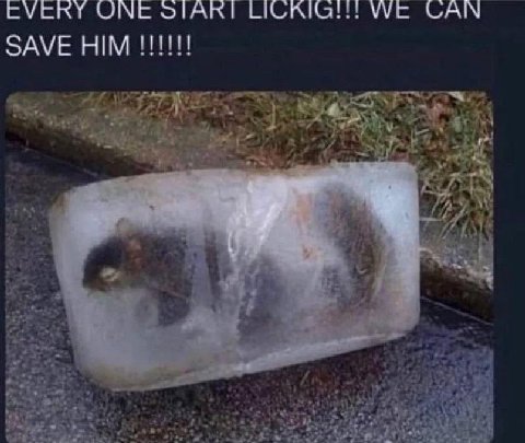 ONE УУЕ САМ SAVE HIM