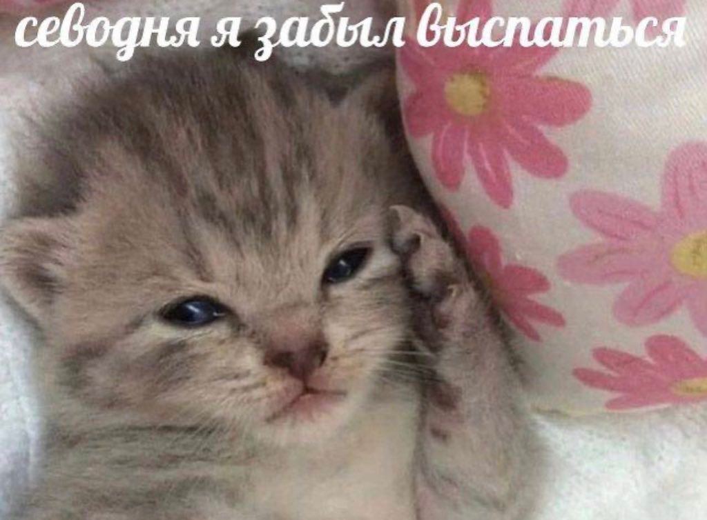 севодня я задыл выспаться