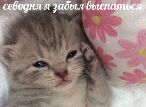 севодня я задыл выспаться