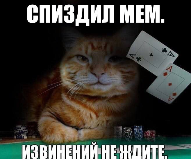 СПИЗДИЛ МЕМ. ИЗВИНЕНИЙ НЕ