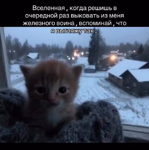 Вселенная когда решишь в очередной раз выковать из меня железного воина вспоминай что я выгляжу так
