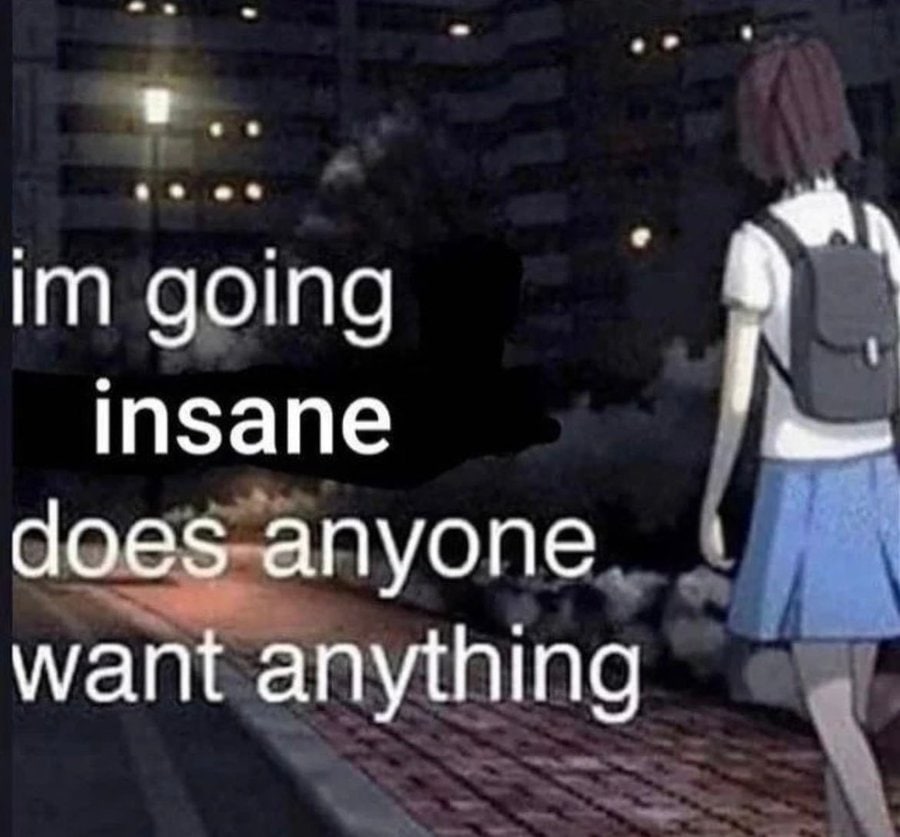 going insane does-anyone want anything