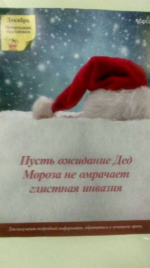 aad 3 Пусть ожидание Дед Мороза не омрачает глистная инвазия