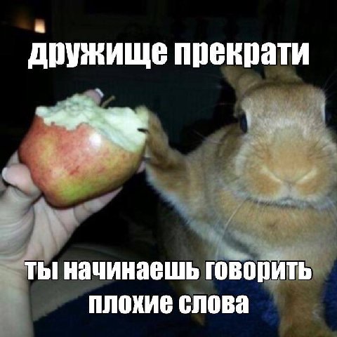 дружище прекрати ты начинаешь говорить плохие слова