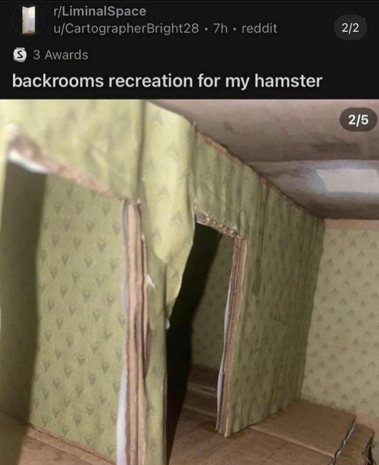 r/LiminalSpace u/CartographerBright28 reddit 2/2 3 Awards backrooms recreation for my hamster 2/5 в
