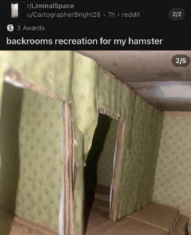 r/LiminalSpace u/CartographerBright28 reddit 2/2 3 Awards backrooms recreation for my hamster 2/5 в