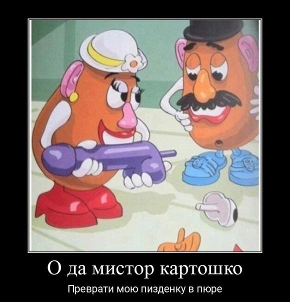 о О да мистор картошко Преврати мою пизденку в пюре